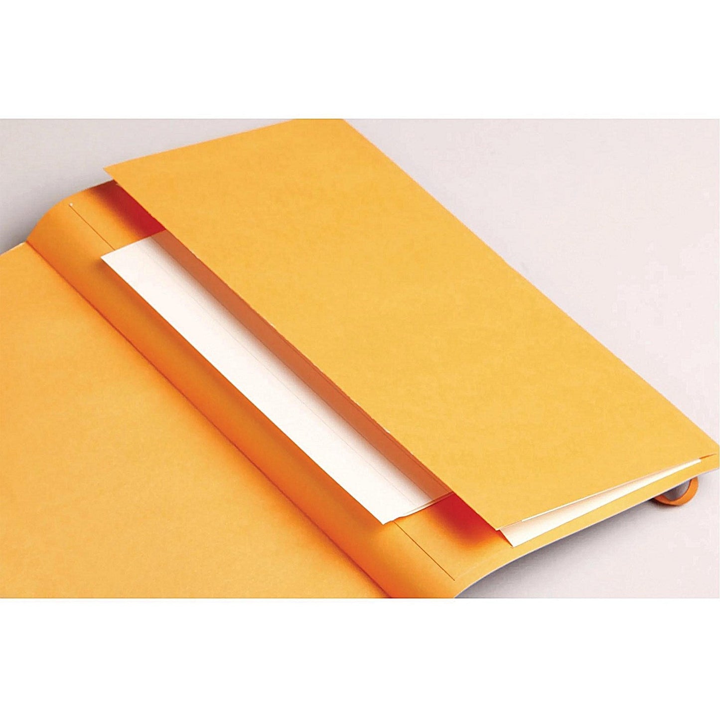 Clairefontaine Rhodiarama Notebook 80 Lined Pages A4+ Silver Cover Easy2Order : GH17701