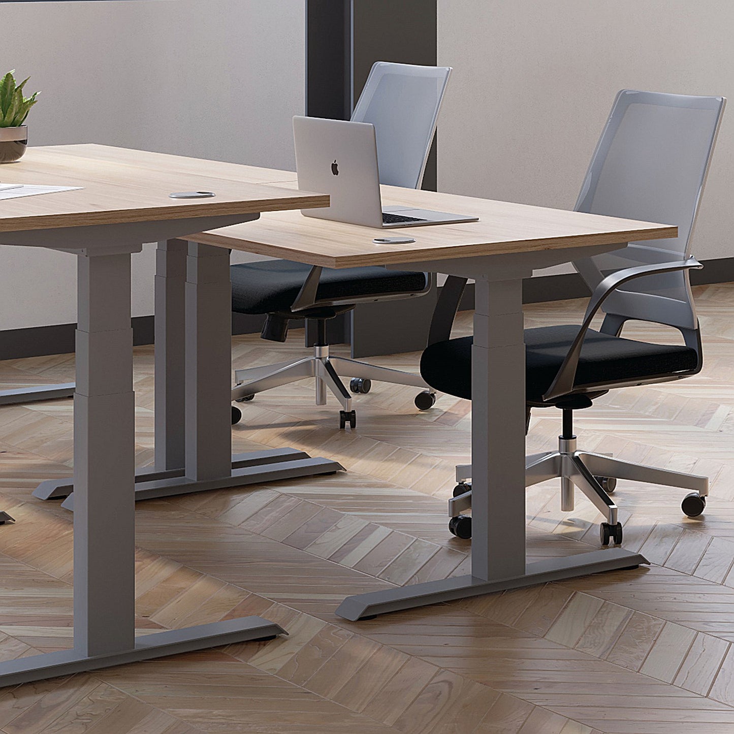 Jemini Sit-Stand Desk, White Leg, 1400mm, Maple Top