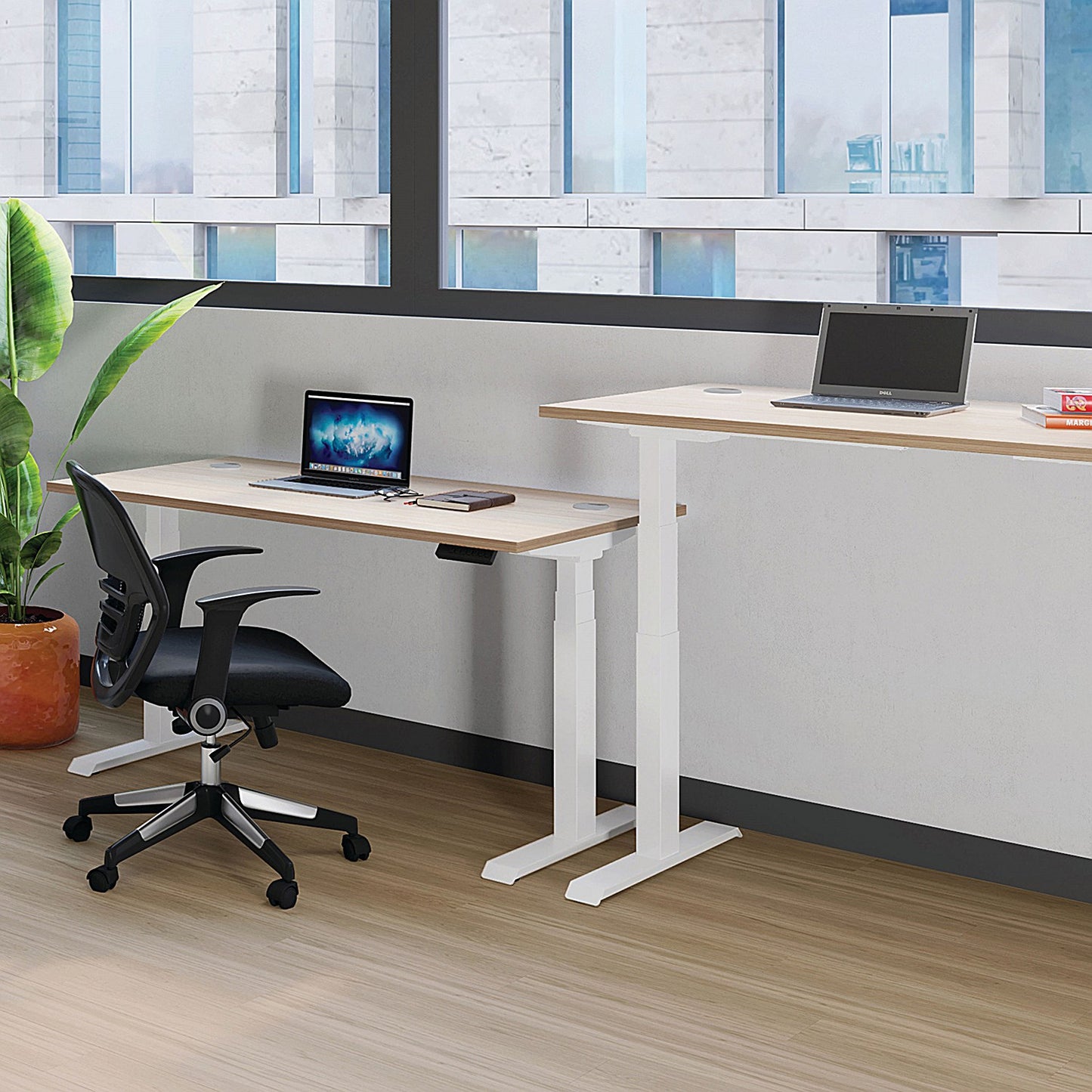 Jemini Sit-Stand Desk, Silver Leg, 1600mm, Grey Oak Top
