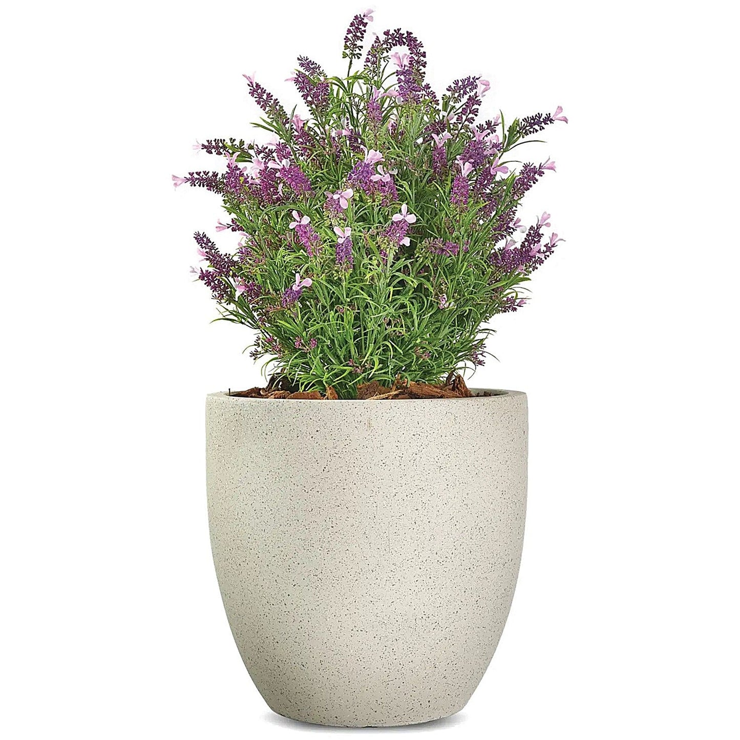 Vistafolia French Lavender Bush Pink FLB-PNK Easy2Order : SF1000734