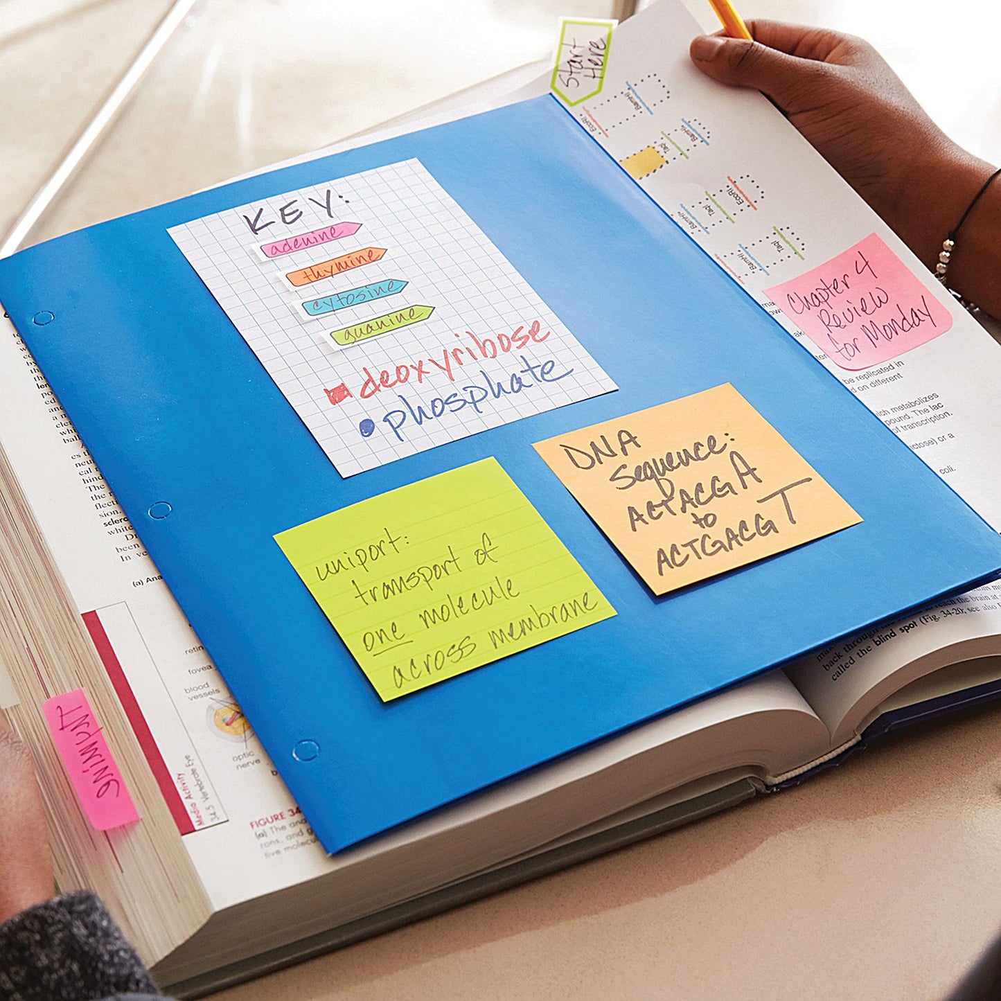 Post-it Energetic Palette Colour Notes, 76 x 127mm, Rainbow Colours, Pack of 6 x 100 Notes