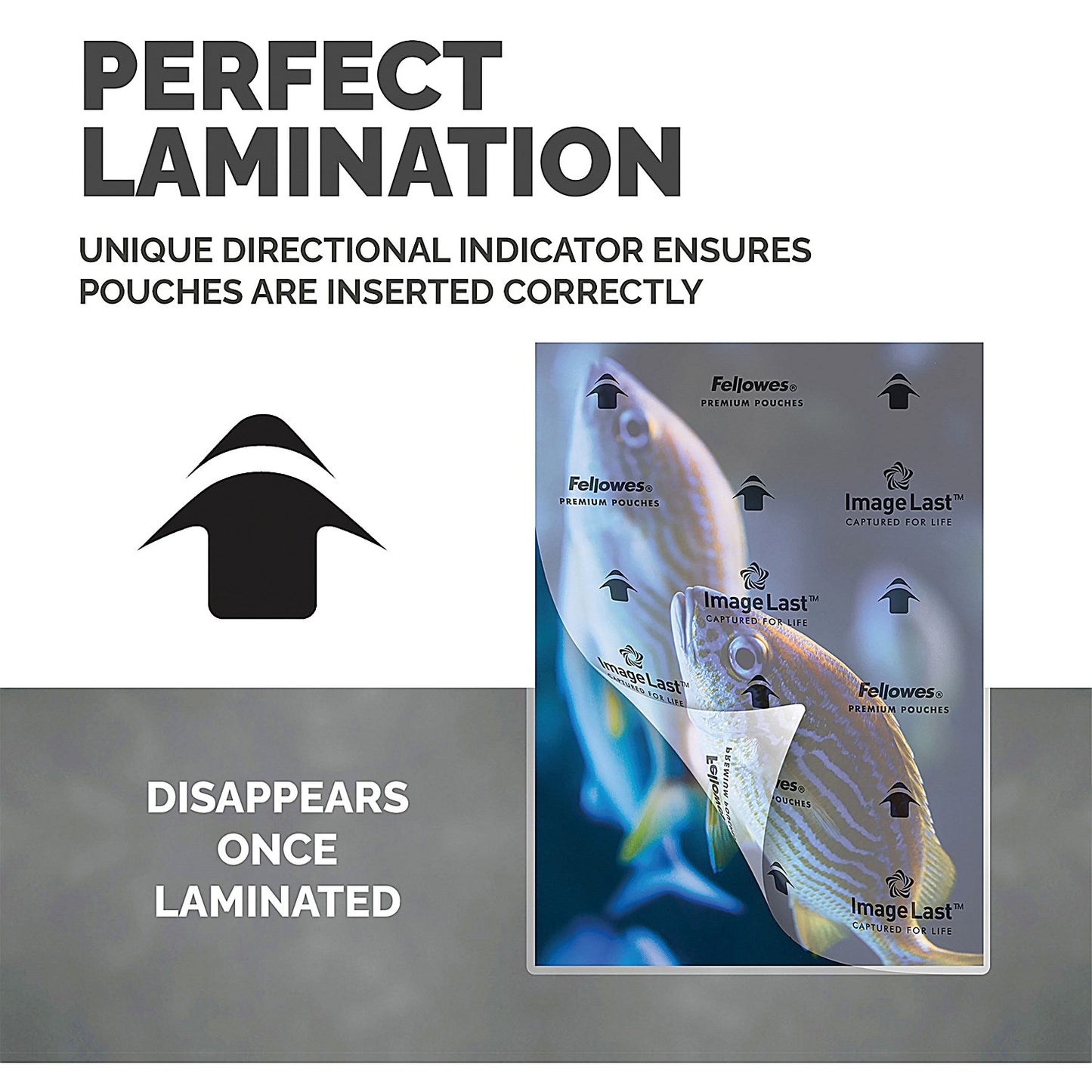 Fellowes Enhance A5 Laminating Pouch, 80 Micron, Clear Gloss, Pack of 100