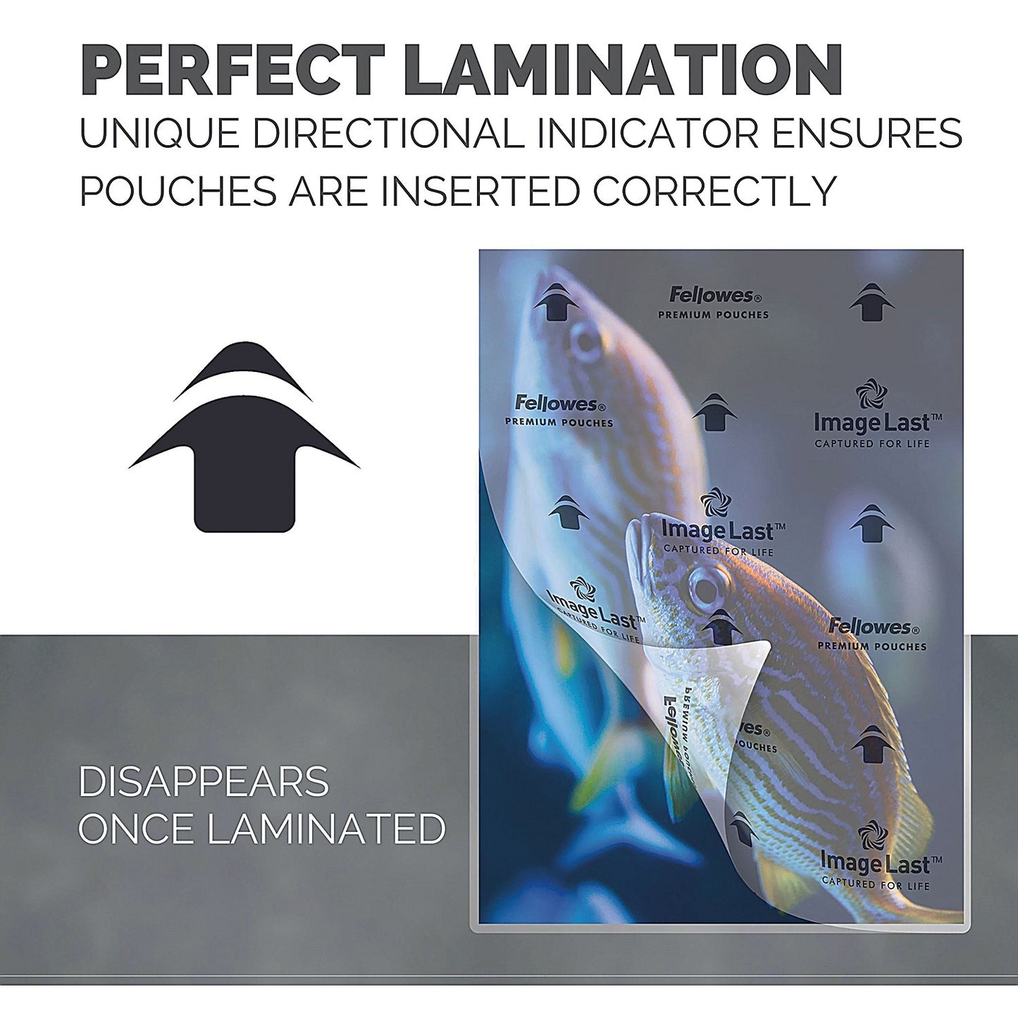 Fellowes Enhance A3 Laminating Pouches, 160 Microns, Glossy, Pack of 100