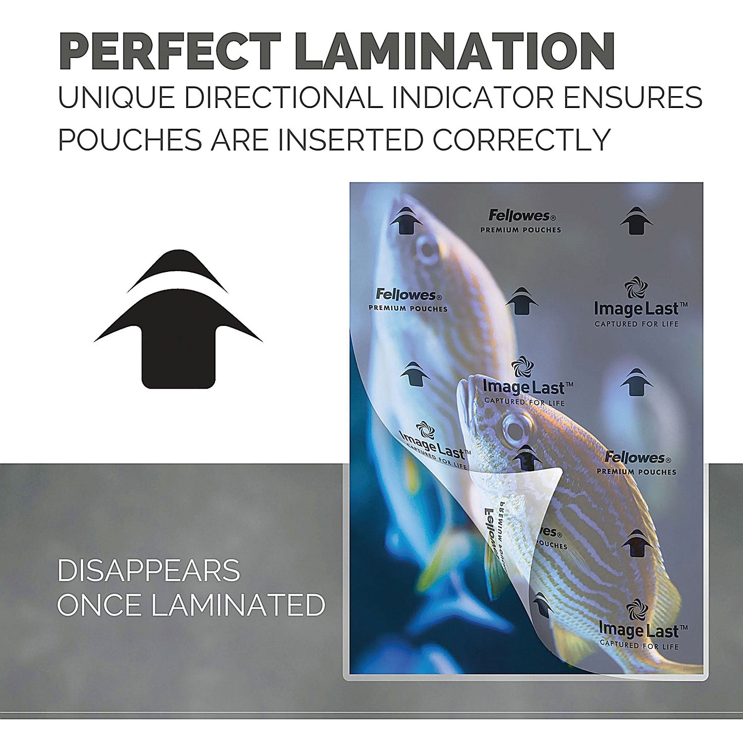 Fellowes Capture A4 Laminating Pouches, 250 Microns, Glossy, Pack of 100