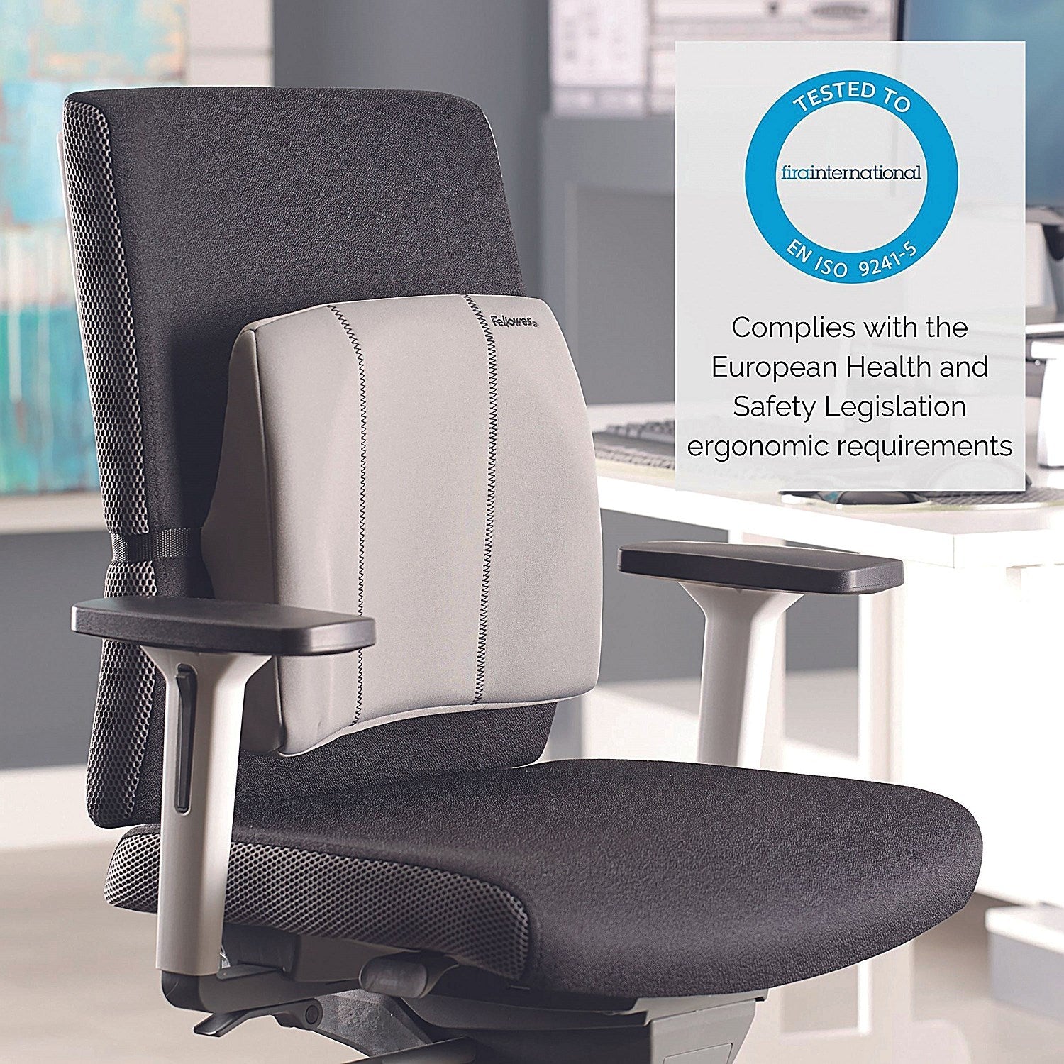 Fellowes Slimline Back Support, Soft- touch Fabric with Adjustable Strap, Graphite Easy2Order : BB55642