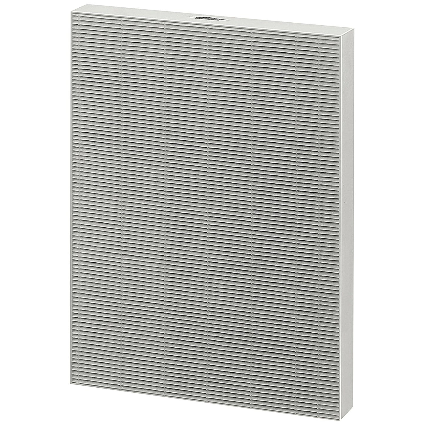 Fellowes DX55 Medium True HEPA Filter