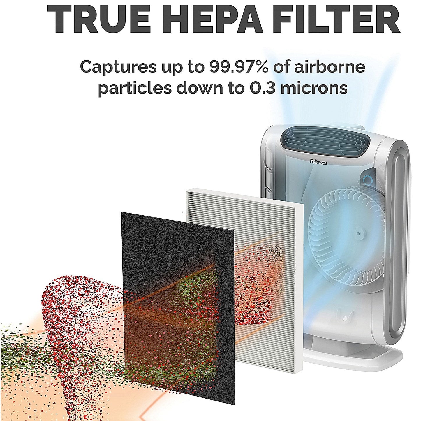 Fellowes DX55 Medium True HEPA Filter