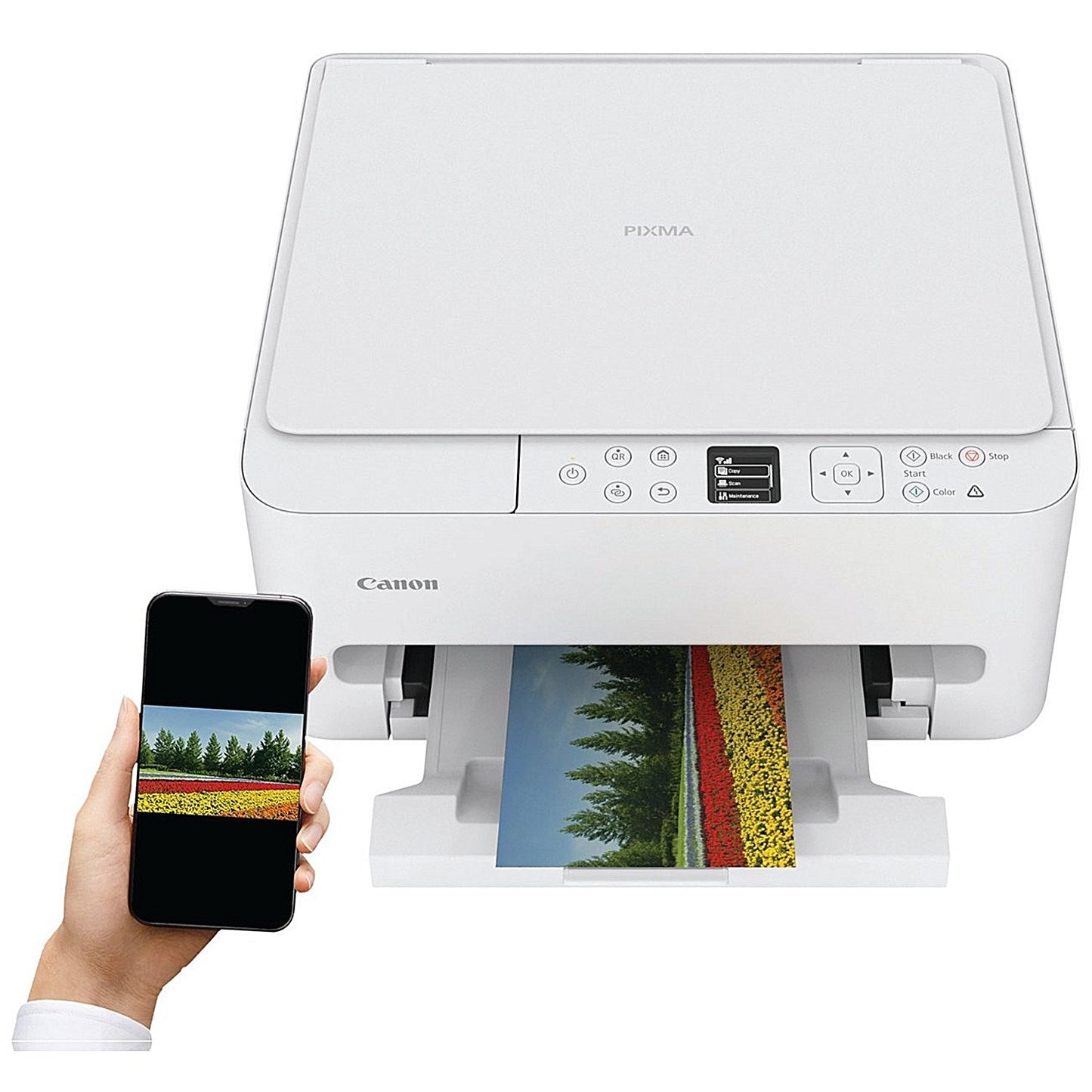 Canon Pixma TS6550i 3-in-1 Wireless Colour Inkjet Printer, White