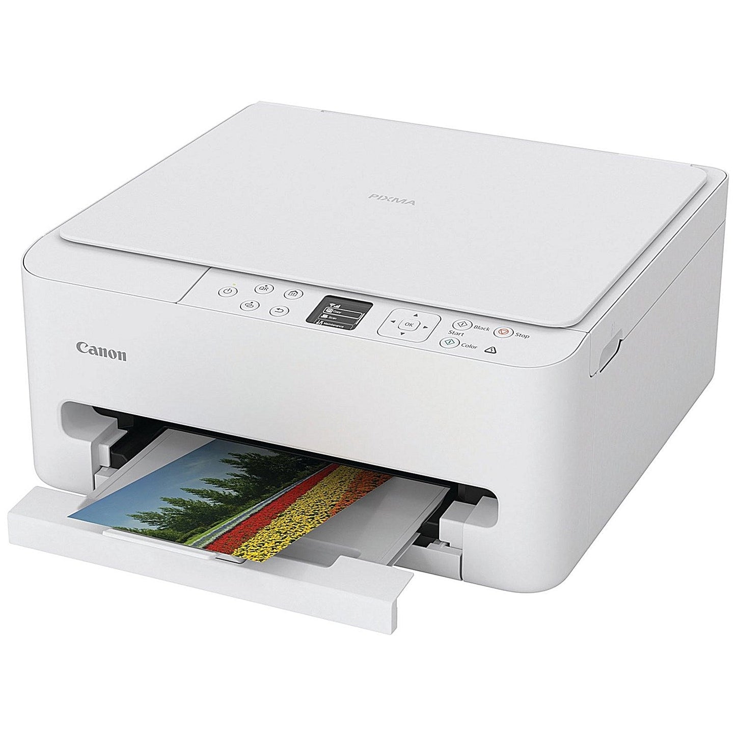 Canon Pixma TS6550i 3-in-1 Wireless Colour Inkjet Printer, White