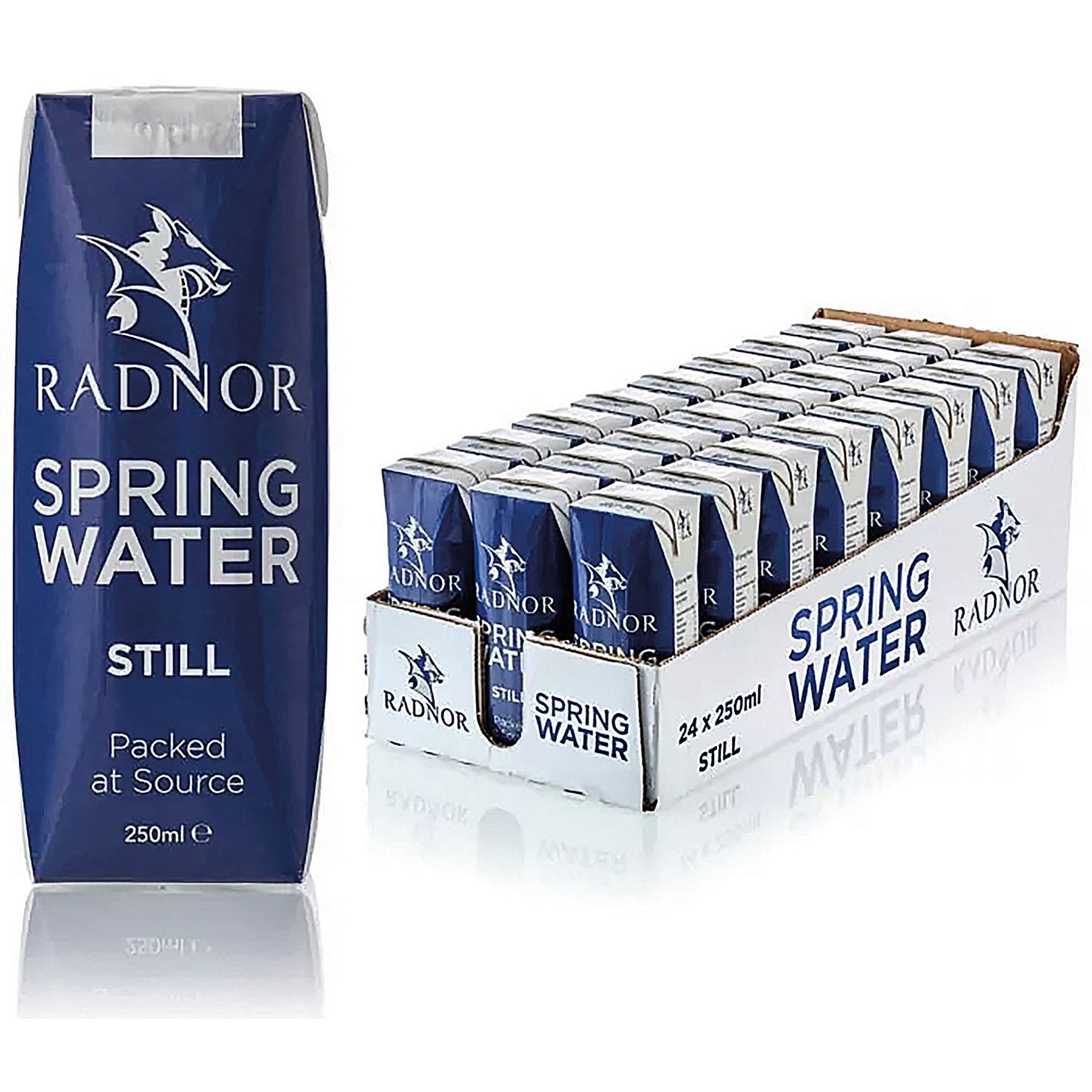 Radnor Hills Still Water, Tetra Pak Cartons, 250ml, Pack of 24
