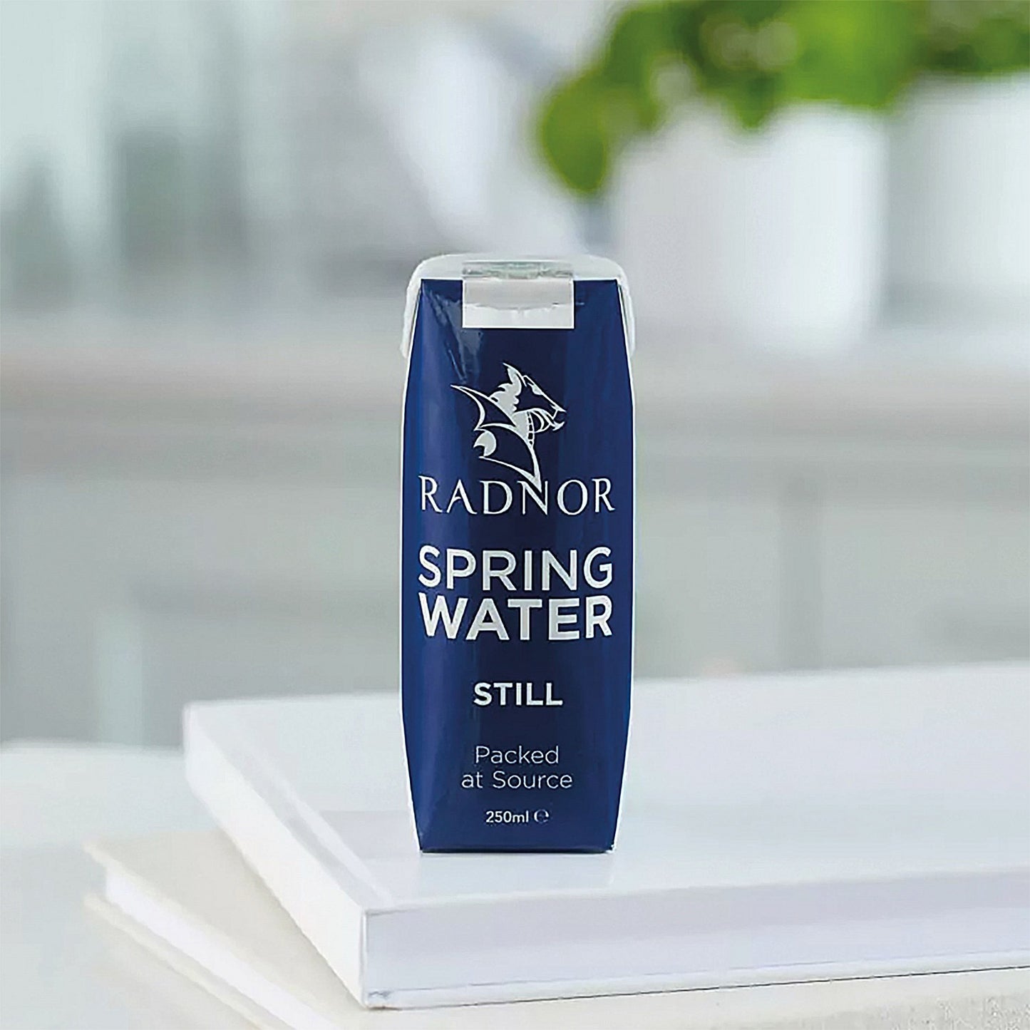Radnor Hills Still Water, Tetra Pak Cartons, 250ml, Pack of 24