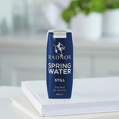 Radnor Hills Still Water, Tetra Pak Cartons, 250ml, Pack of 24
