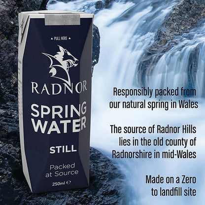 Radnor Hills Still Water, Tetra Pak Cartons, 250ml, Pack of 24