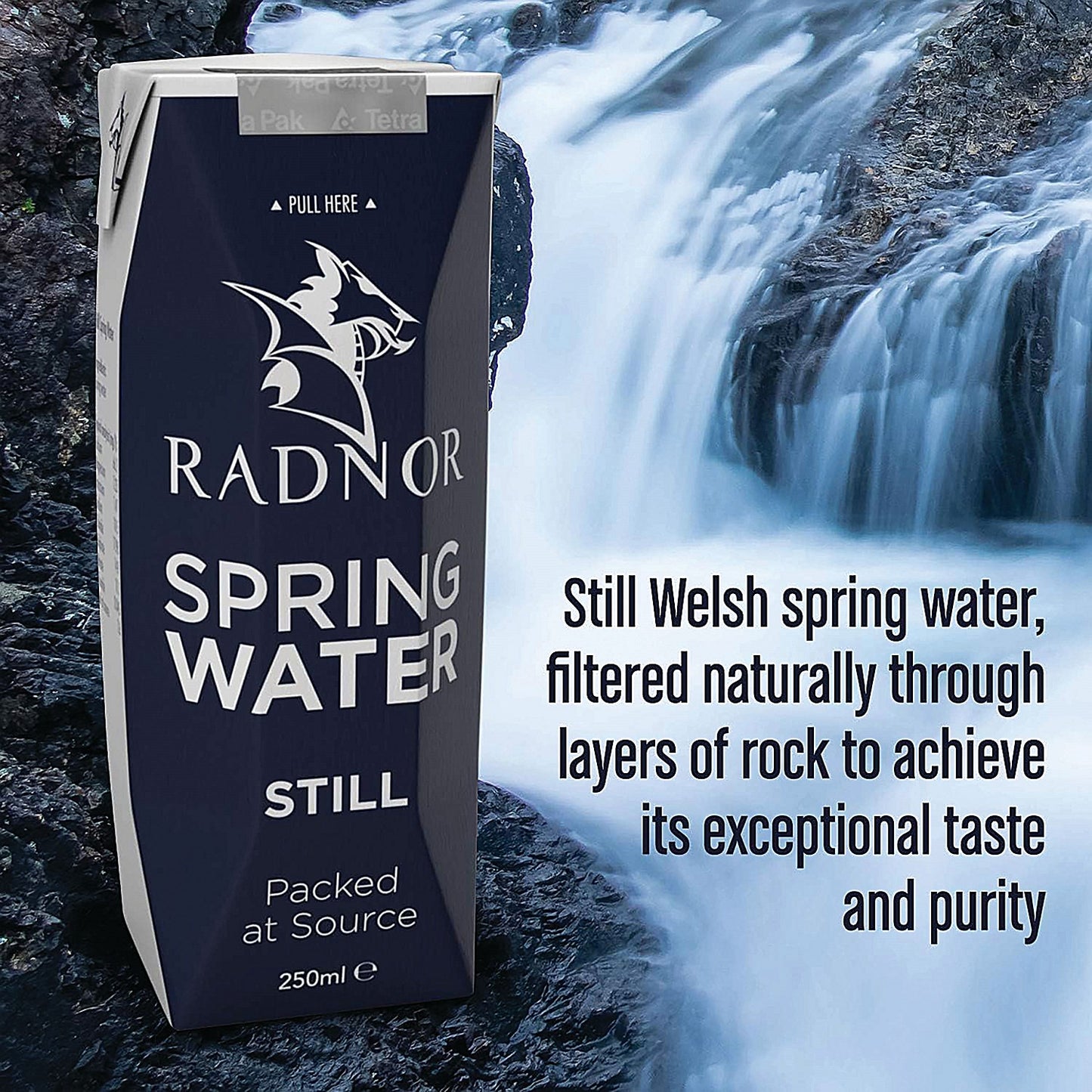 Radnor Hills Still Water, Tetra Pak Cartons, 250ml, Pack of 24