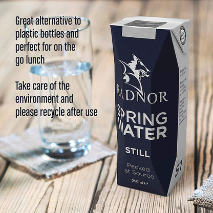Radnor Hills Still Water, Tetra Pak Cartons, 250ml, Pack of 24