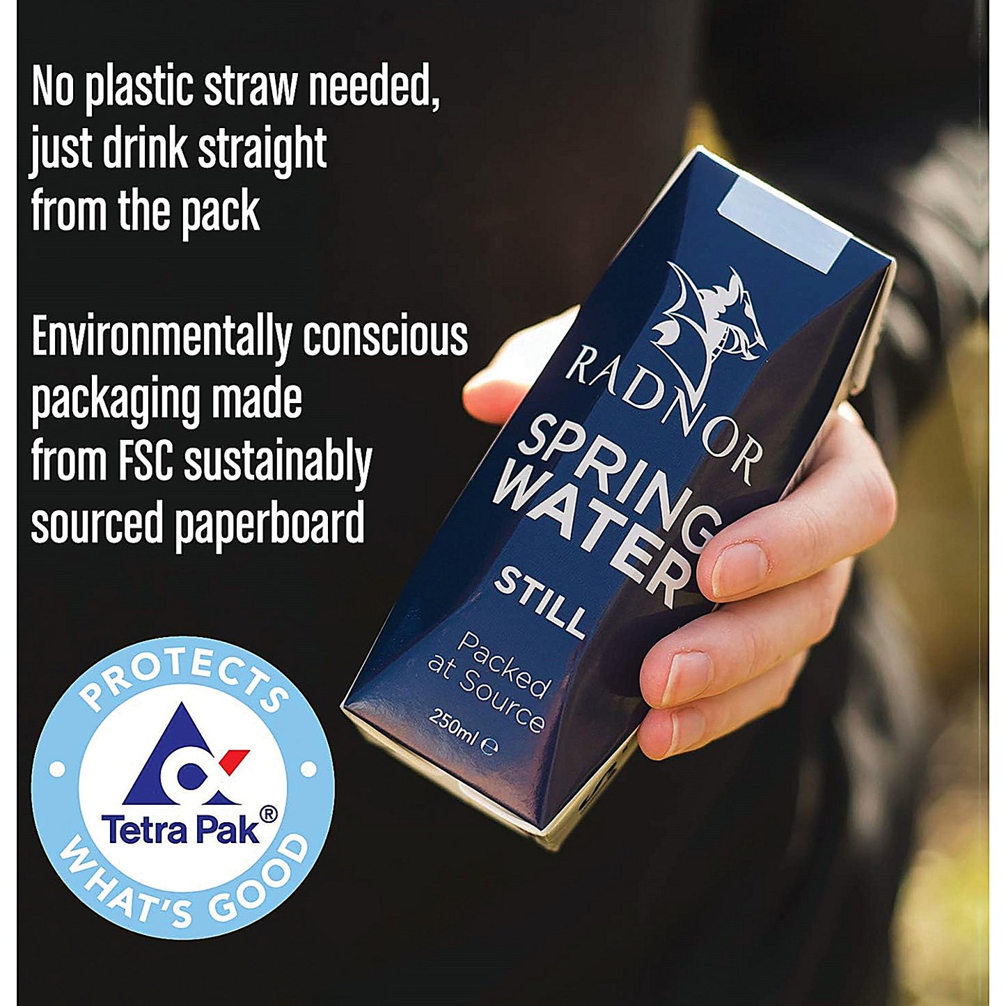 Radnor Hills Still Water, Tetra Pak Cartons, 250ml, Pack of 24
