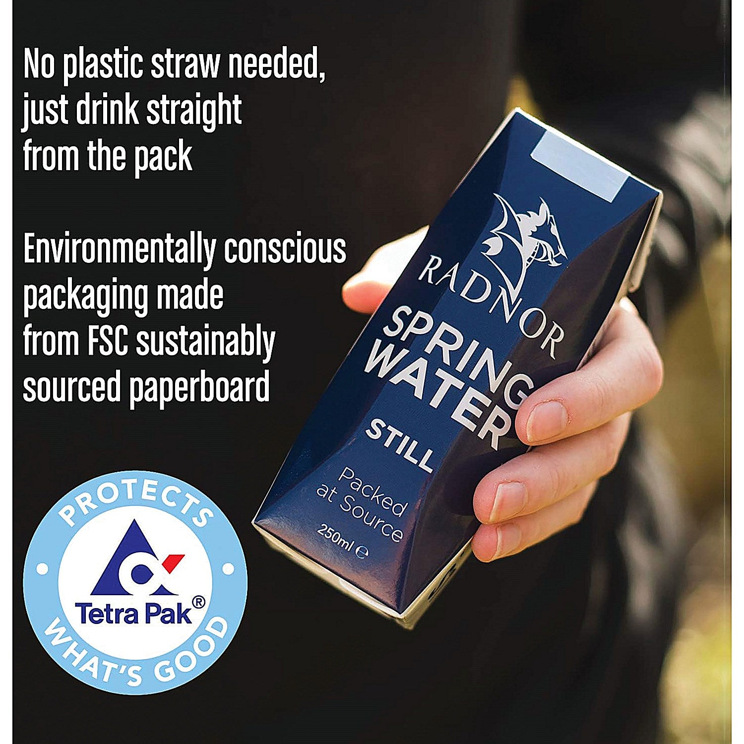 Radnor Hills Still Water, Tetra Pak Cartons, 250ml, Pack of 24