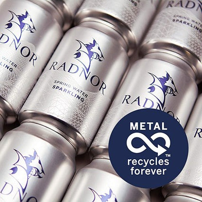 Radnor Hills Sparkling Water, Cans, 330ml, Pack of 24