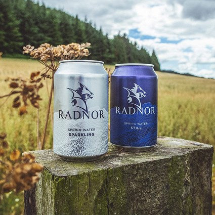Radnor Hills Sparkling Water, Cans, 330ml, Pack of 24