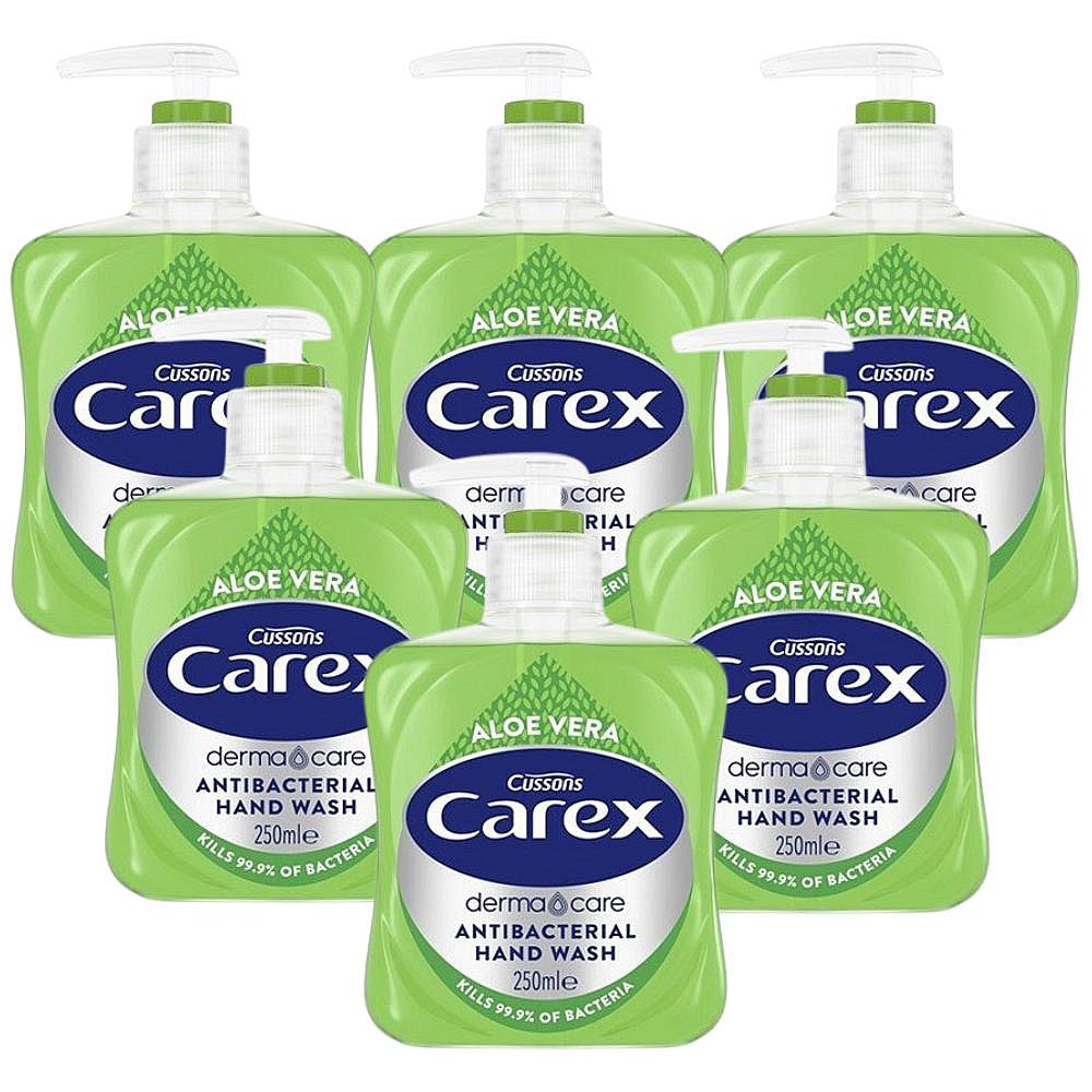 Carex Aloe Vera Antibacterial Hand Wash, 250ml, Pack of 6