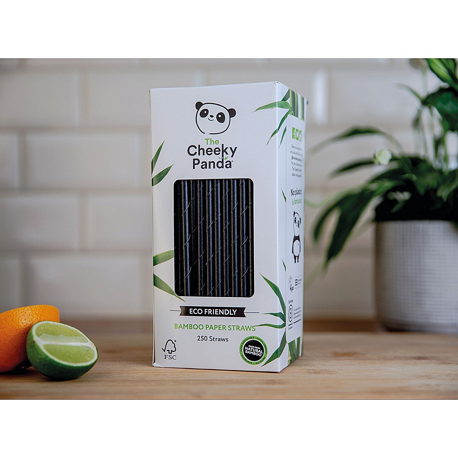 Cheeky Panda Bamboo Paper Straw, Black, Pack of 250 Easy2Order : CPD63036