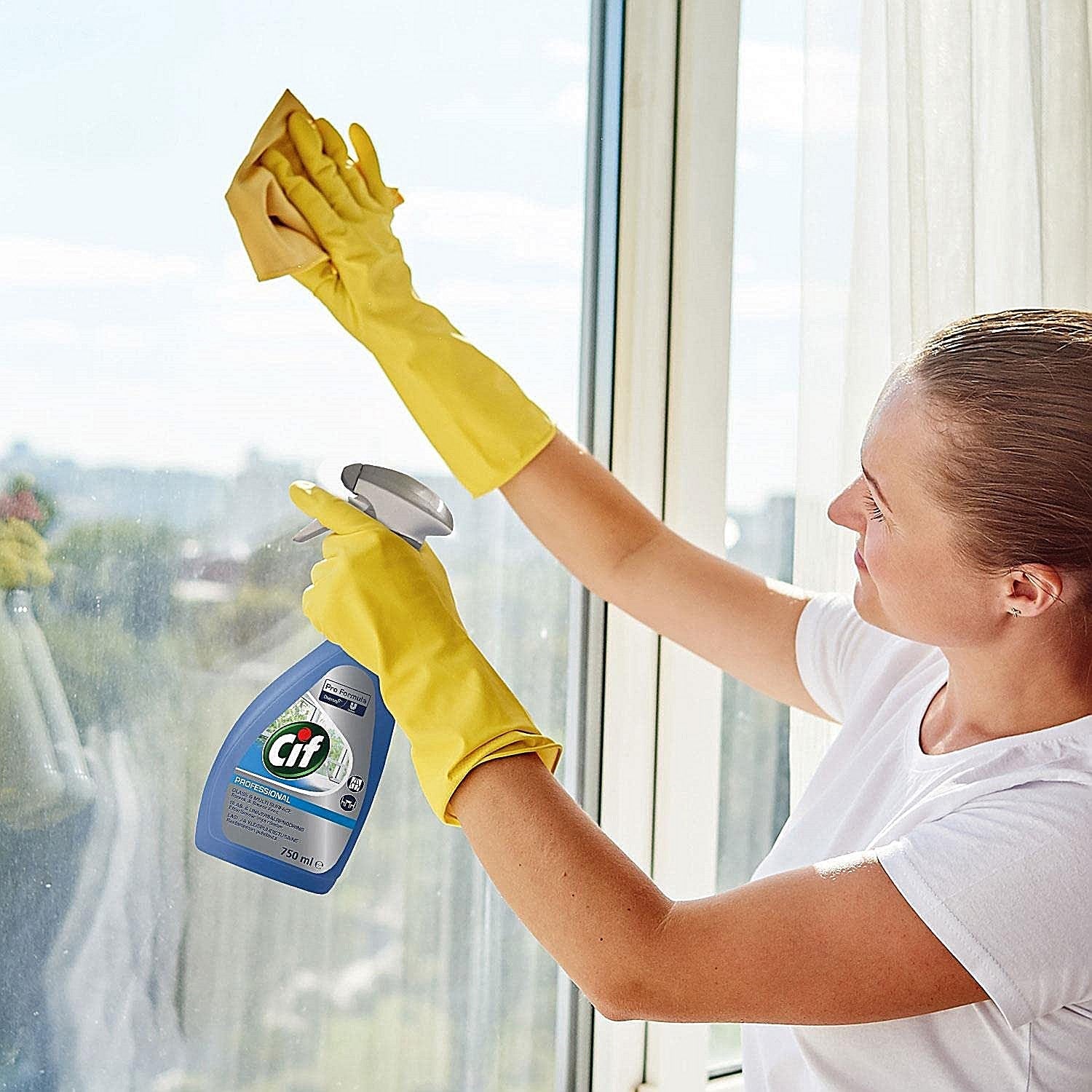 Cif Multisurface and Window Cleaner Spray, 750ml Easy2Order : DV10659