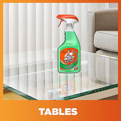 Mr Muscle Window and Glass Cleaner Spray, 750ml