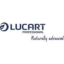 Lucart EcoNatural 2-Ply Z-Fold Hand Towels, Pack of 3000
