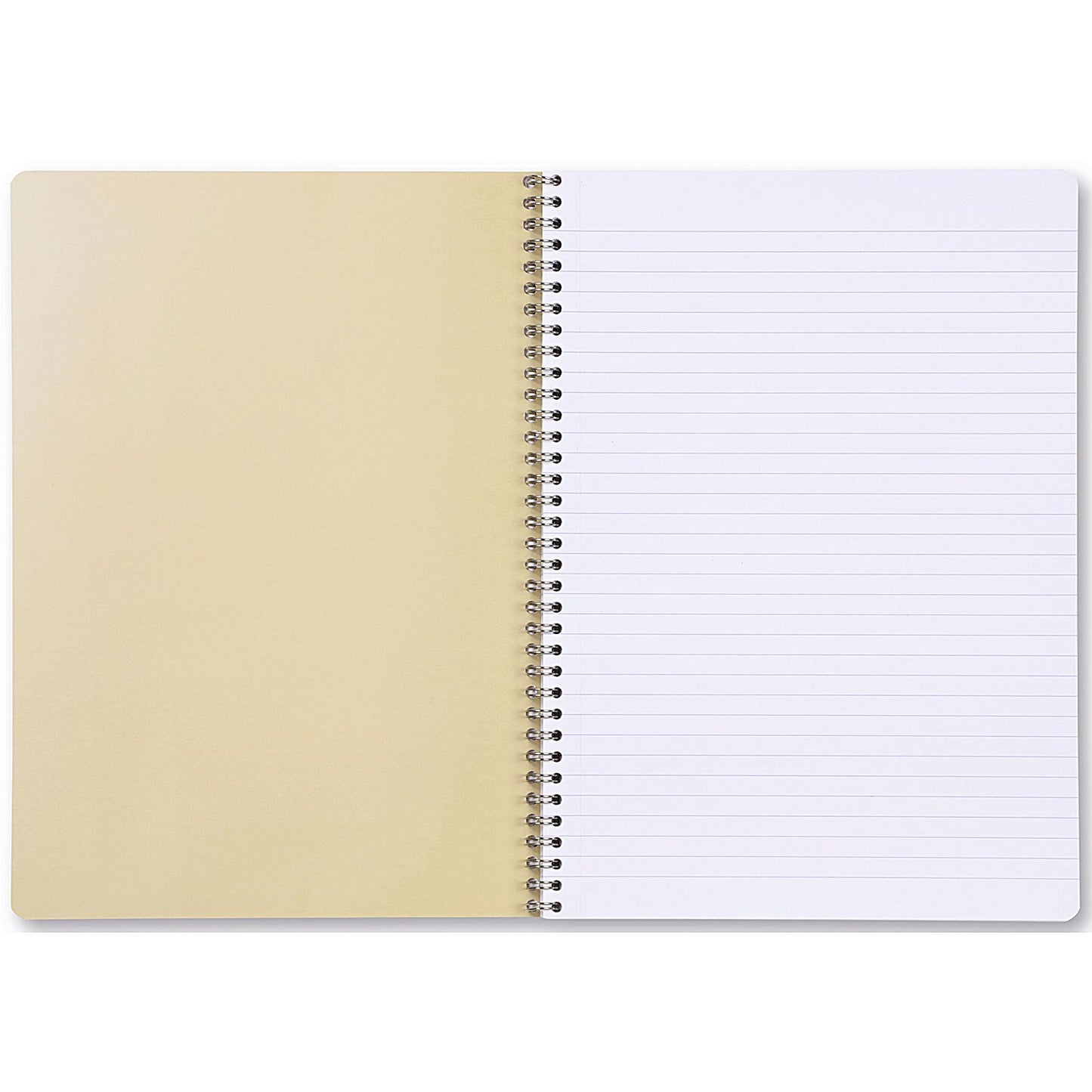 Exacompta Forever Recycled Wirebound Notebook, A4, Ruled & Perforated, 120 Pages, Assorted Pack of 5