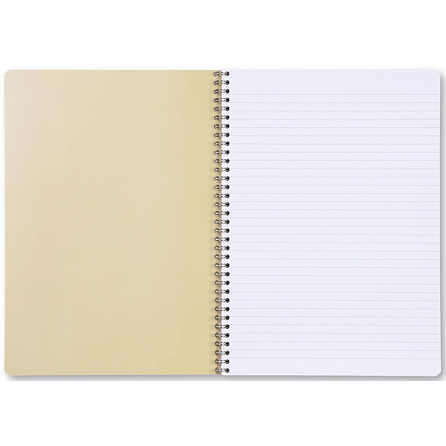 Exacompta Forever Recycled Wirebound Notebook, A4, Ruled & Perforated, 120 Pages, Assorted Pack of 5