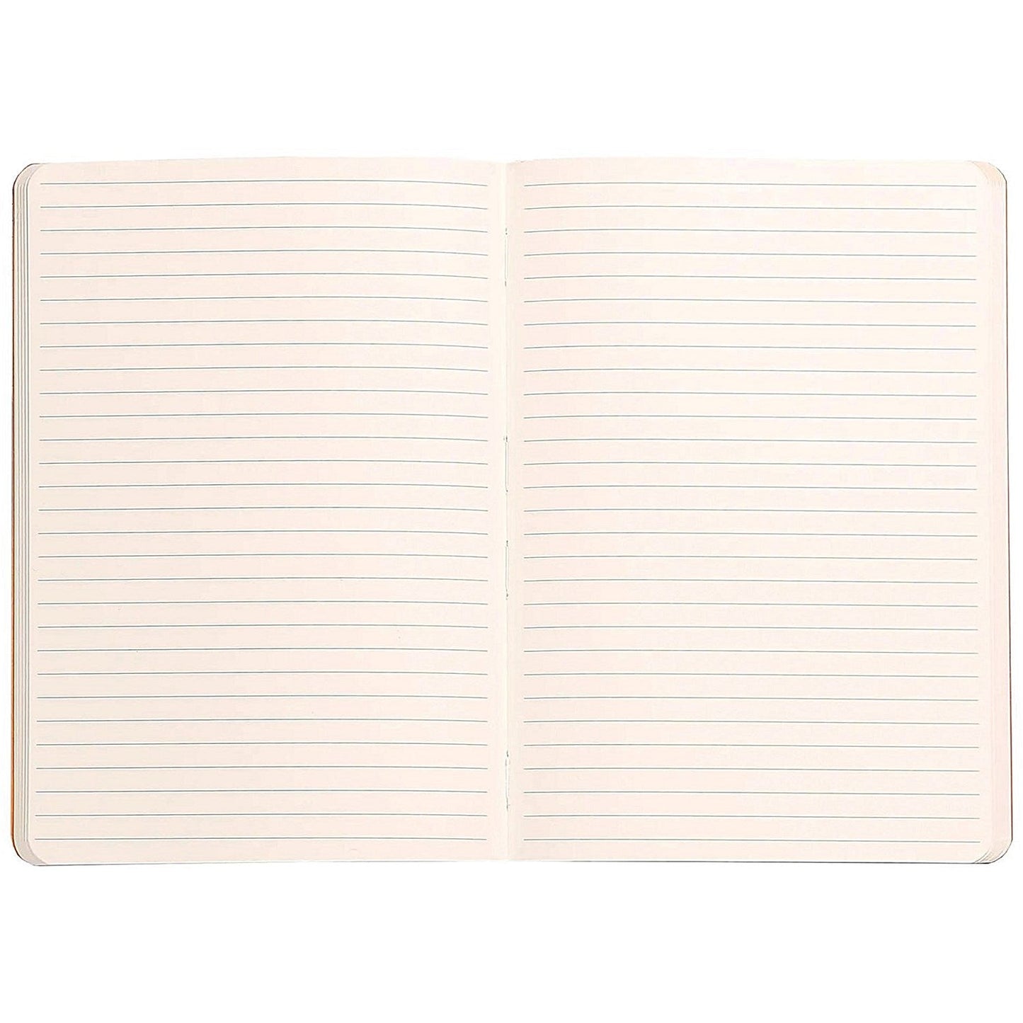 Clairefontaine Rhodiarama Notebook 80 Lined Pages A5 Silver Cover