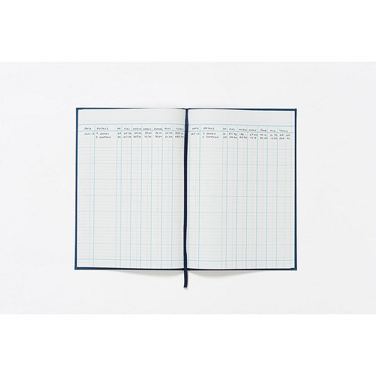 Guildhall Account Book 31/6Z - 6 Cash Columns