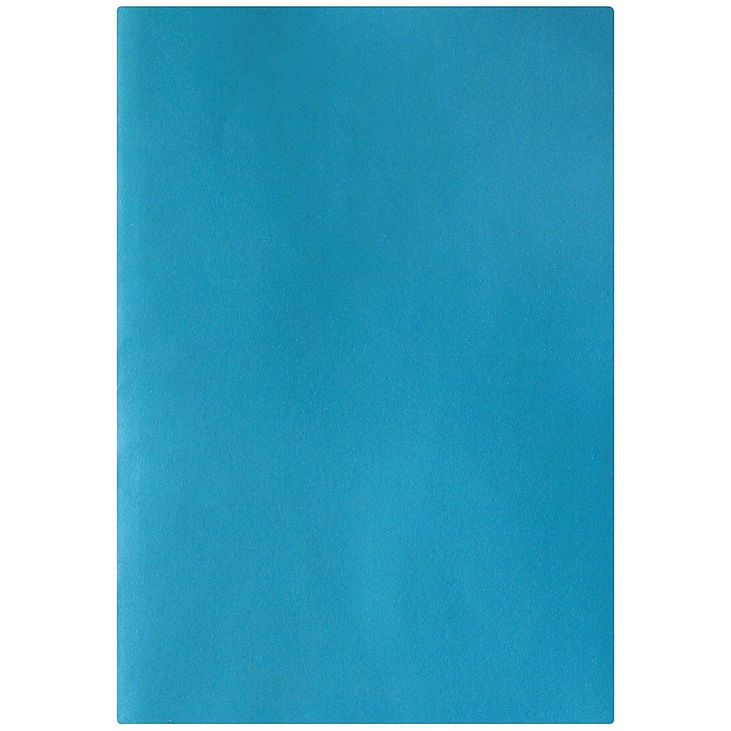 Cambridge Counsels Stapled Notebook, A4, Ruled & Perforated, 96 Pages, Pack of 10