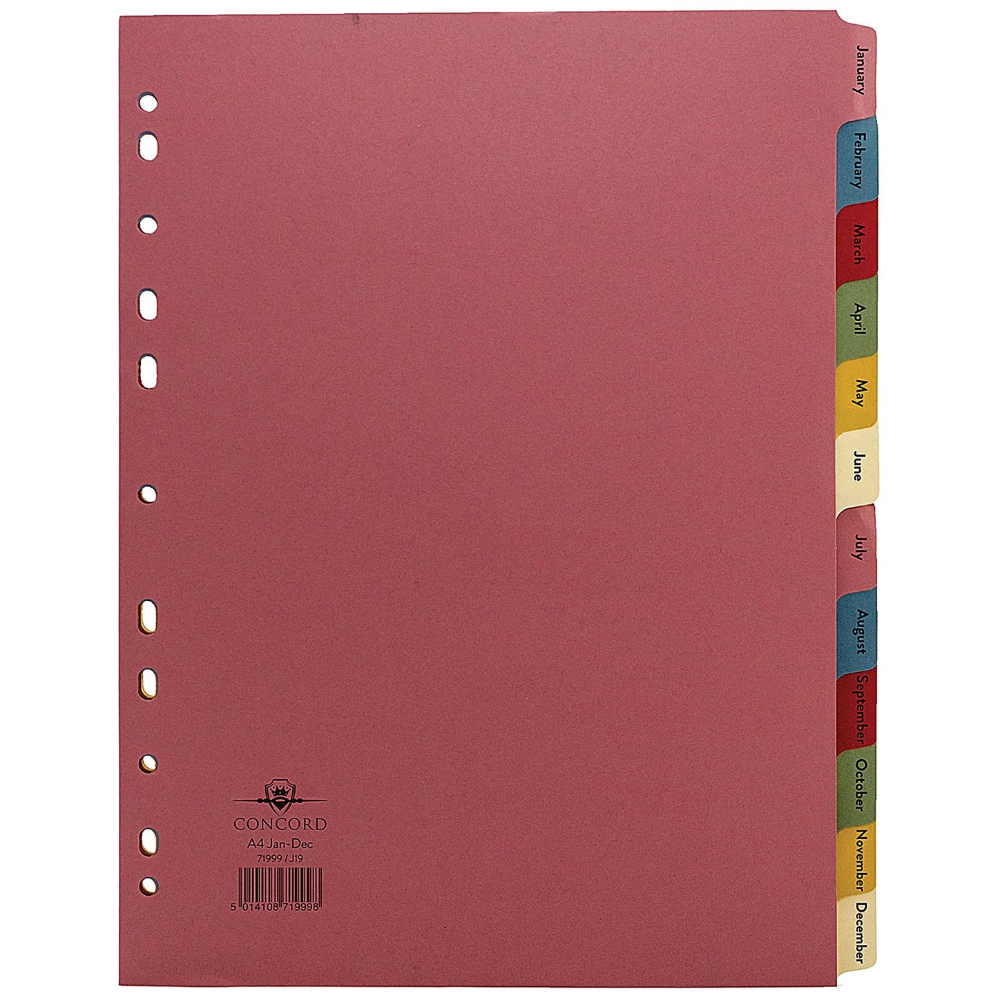 Concord Index Dividers, Jan-Dec, Multicolour Tabs, A4, Multicolour, Pack of 10