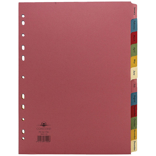 Concord Index Dividers, Jan-Dec, Multicolour Tabs, A4, Multicolour, Pack of 10
