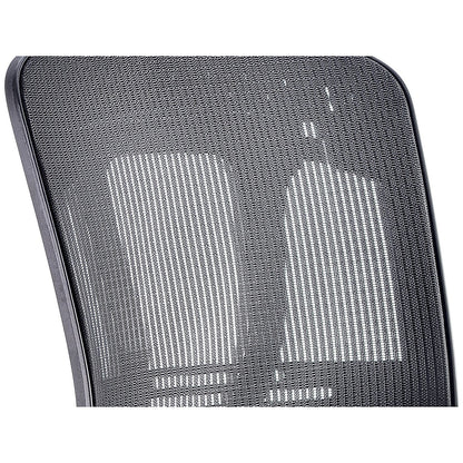 Mirage Mesh Back Executive Chair, Headrest, Height Adjustable Arms, Black