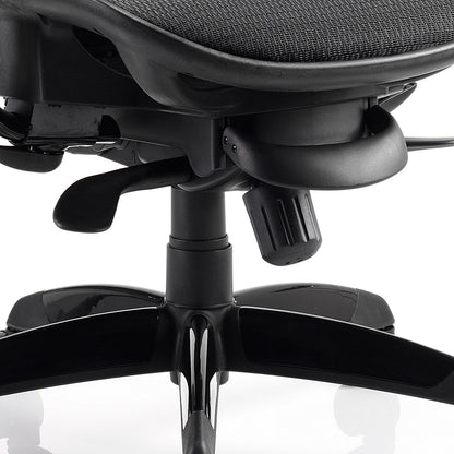 Stealth Shadow Ergo Mesh Posture Chair, Headrest, Height Adjustable Arms, Black