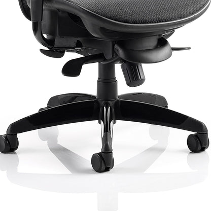 Stealth Shadow Ergo Mesh Posture Chair, Headrest, Height Adjustable Arms, Black