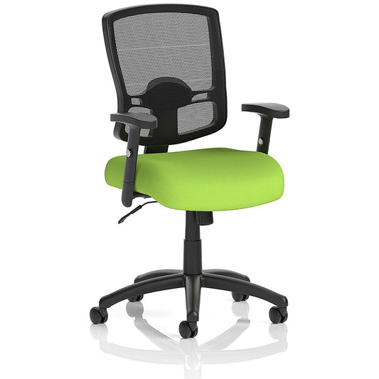 Portland Task Operator Mesh Back Chair, Height Adjustable Arms, Myrrh Green Easy2Order : KCUP0474