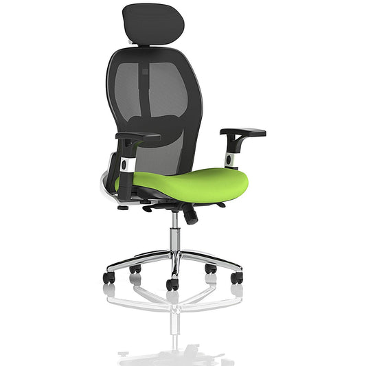 Sanderson II Mesh Back Operator Chair, Headrest, Height Adjustable Arms, Myrrh Green Easy2Order : KCUP1358