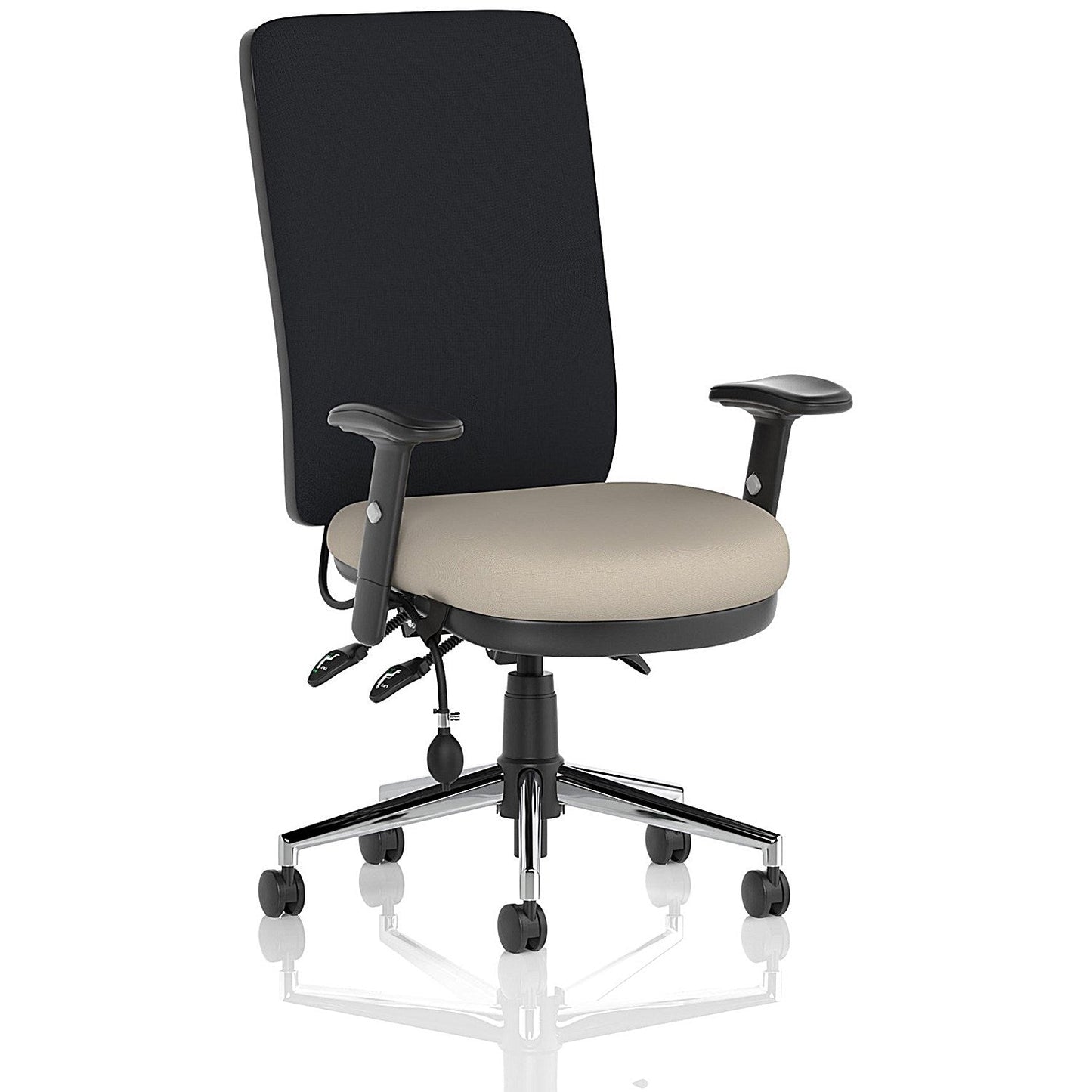 Chiro High Black Back Chair, Height Adjustable Arms, Quest Salt Easy2Order : KCUP2641