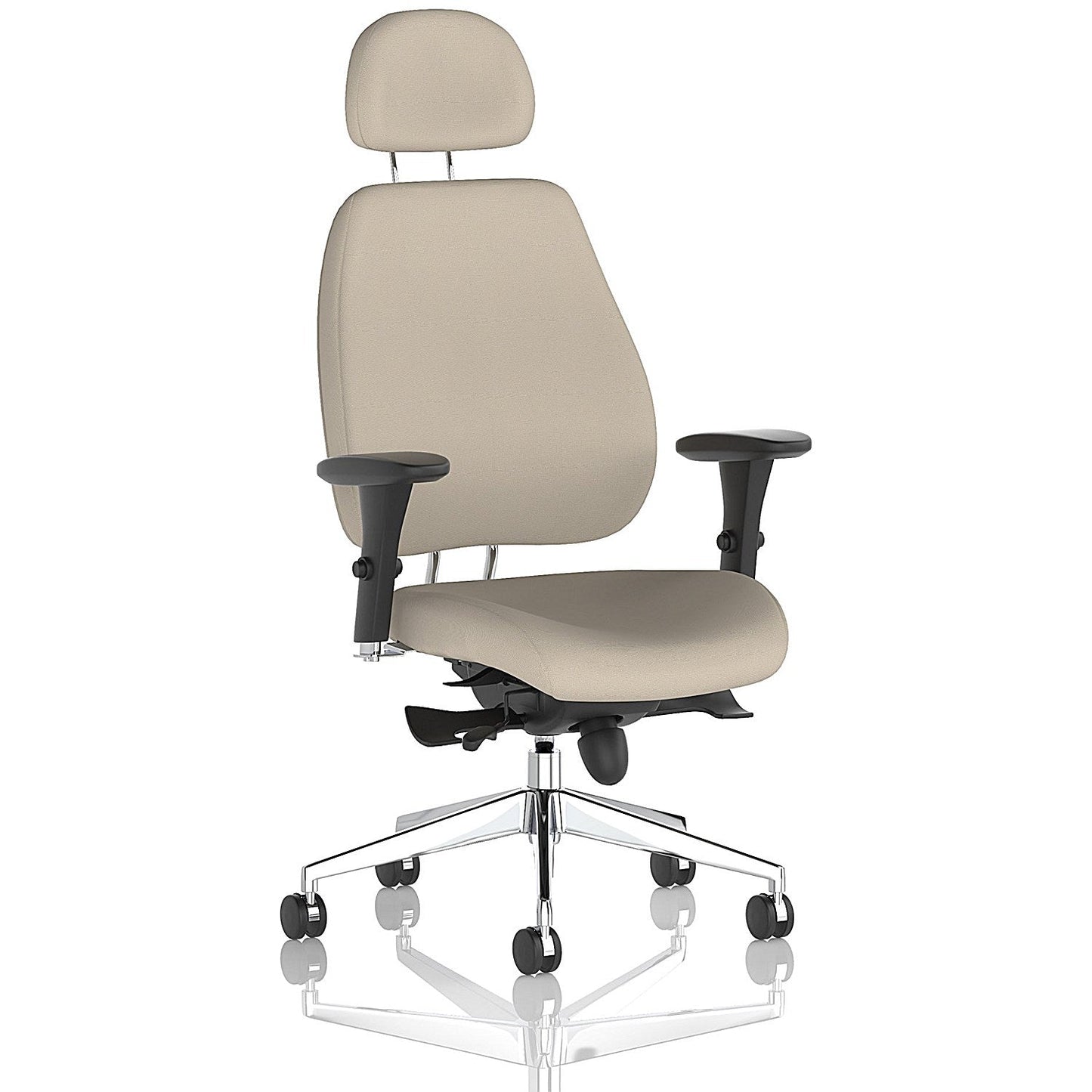 Chiro Plus High Back Chair With Headrest, Height Adjustable Arms, Quest Salt Easy2Order : KCUP2773
