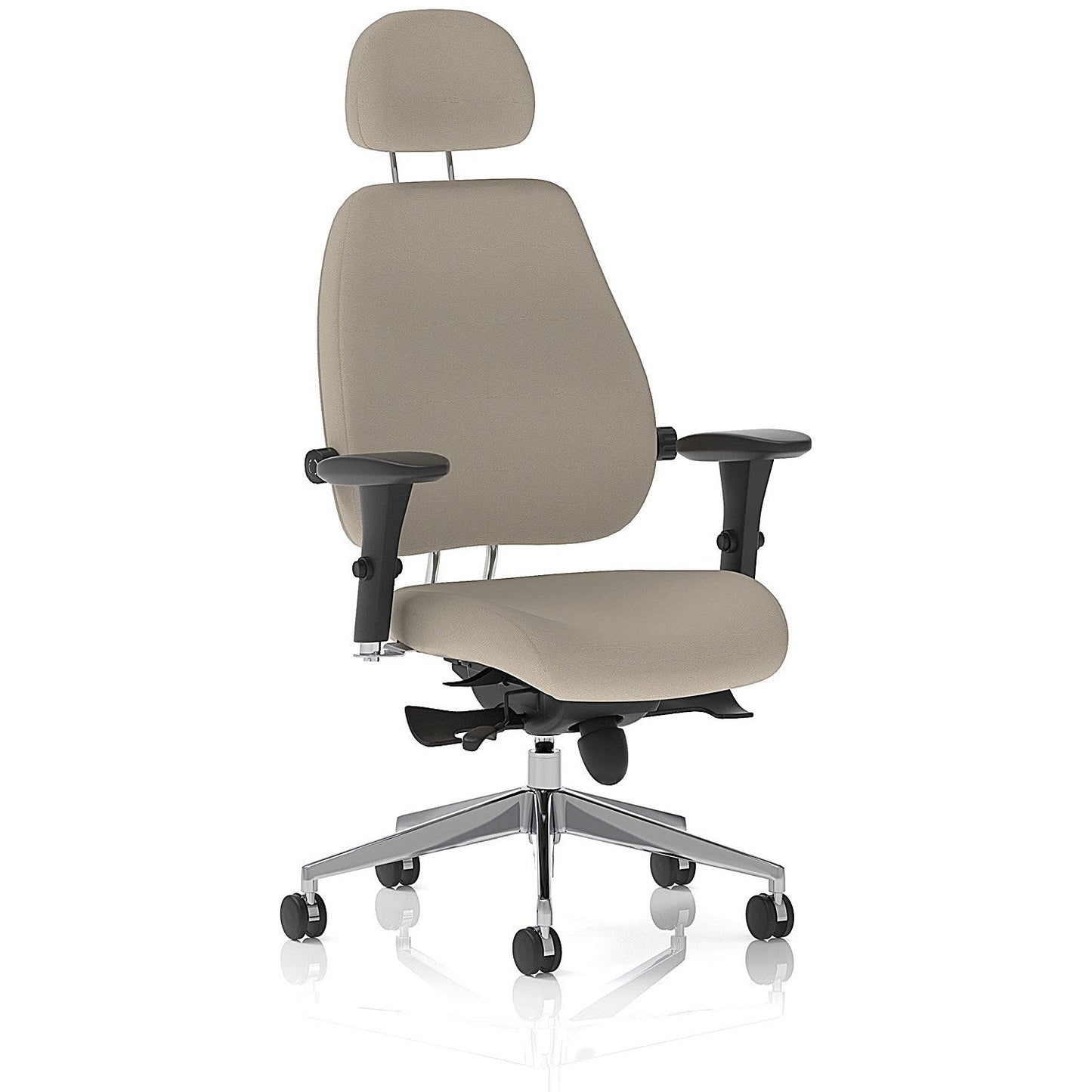 Chiro Plus High Back Chair With Headrest, Height Adjustable Arms, Quest Salt Easy2Order : KCUP2797