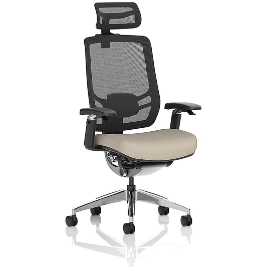 Ergo Click Mesh Back Chair With Headrest, Height Adjustable Arms, Quest Salt Easy2Order : KCUP3733