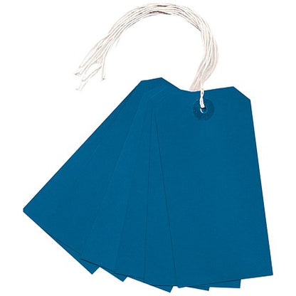 Strung Tag 120x60mm Blue (1000 Pack) KF01625