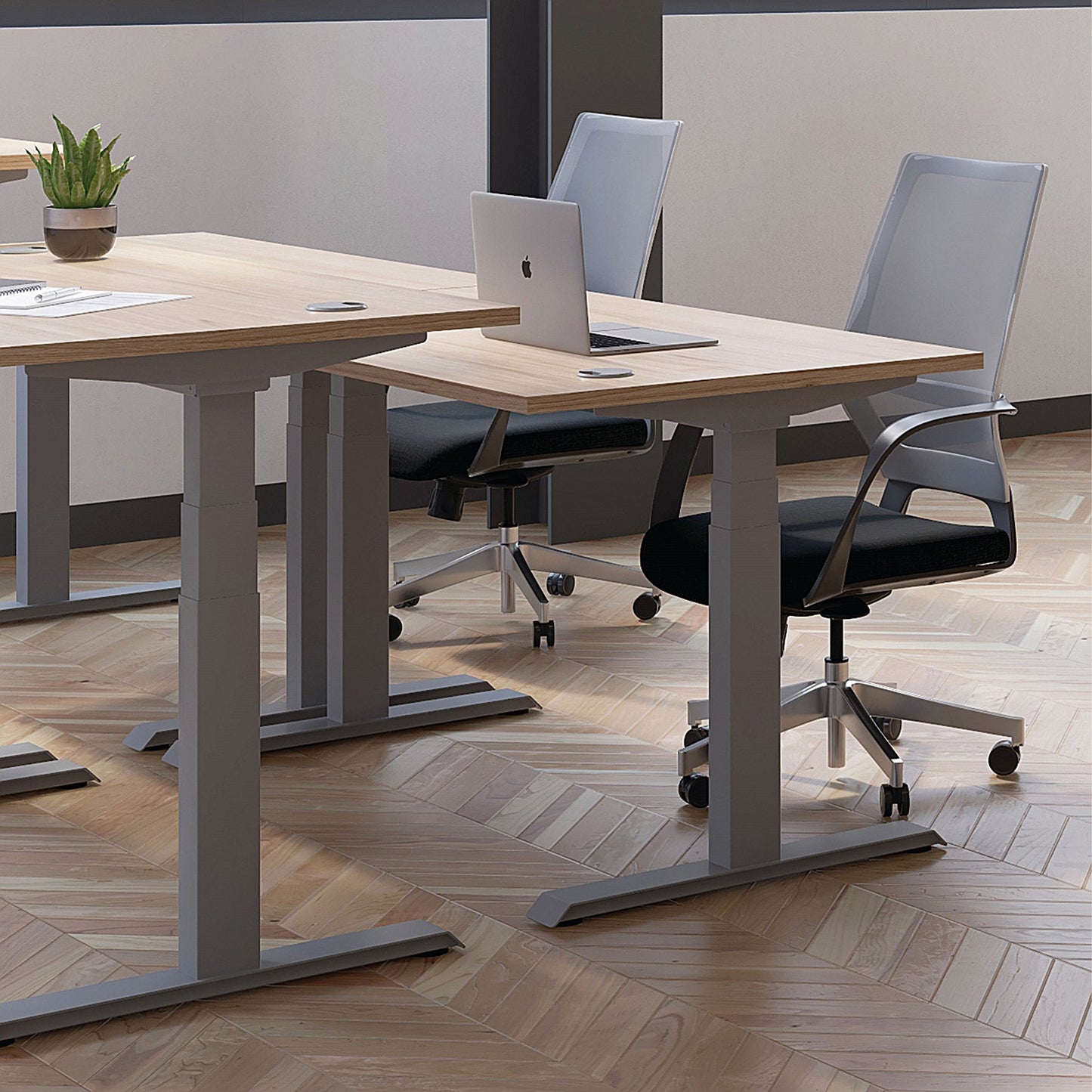 Jemini Sit-Stand Desk, Silver Leg, 1400mm, Grey Oak Top
