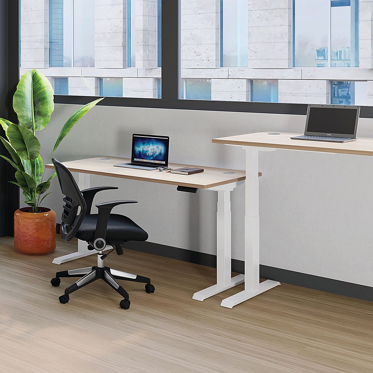 Jemini Sit-Stand Desk, Silver Leg, 1400mm, White Top