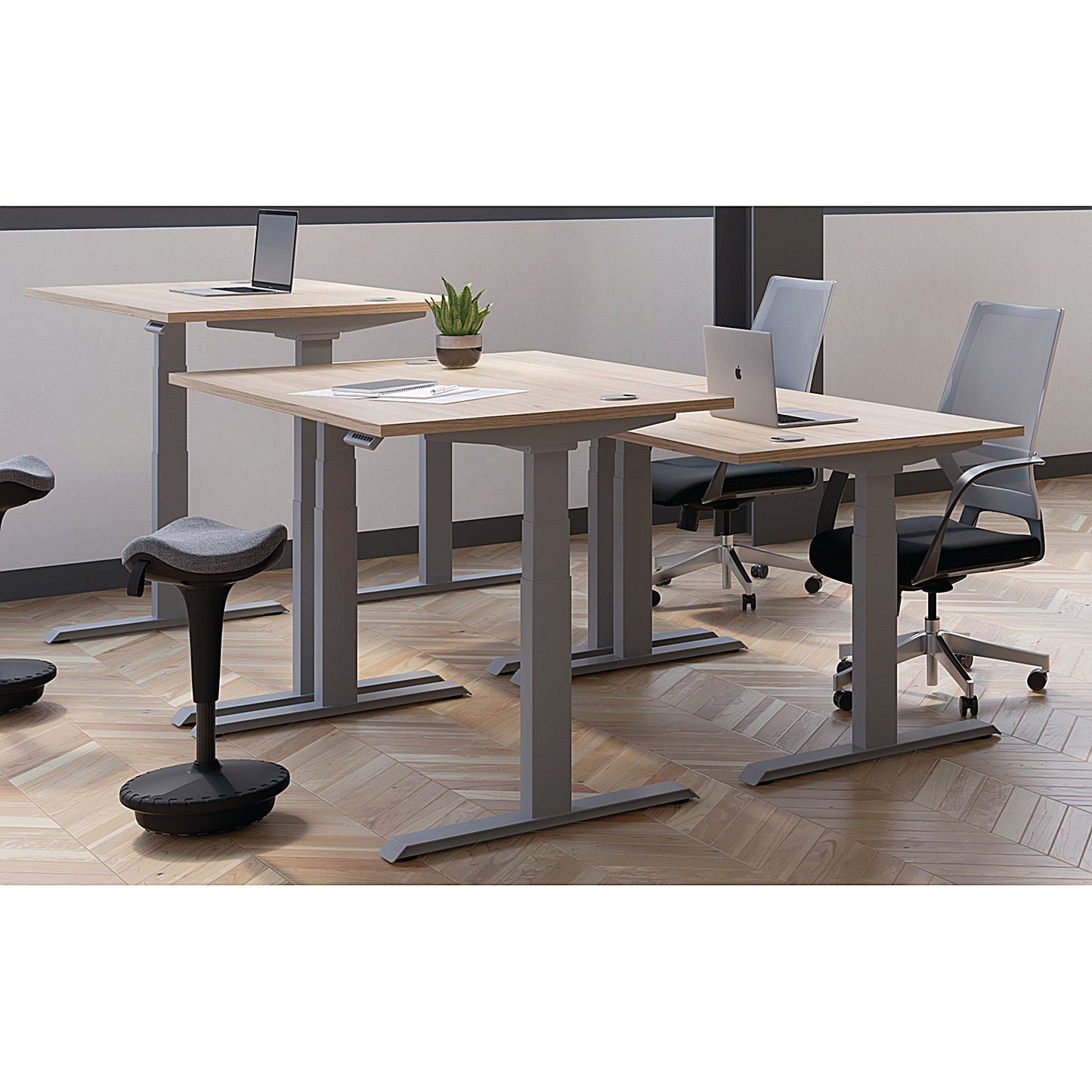 Jemini Sit-Stand Desk, Silver Leg, 1600mm, Beech Top