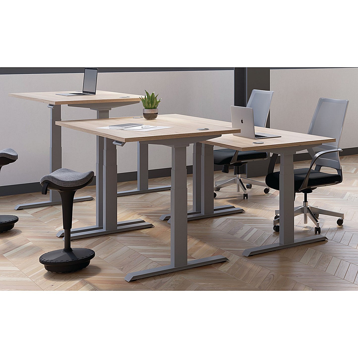 Jemini Sit-Stand Desk, Silver Leg, 1600mm, Walnut Top
