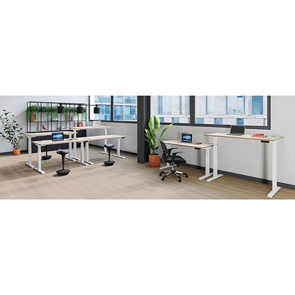 Jemini Sit-Stand Desk, White Leg, 1600mm, Walnut Top
